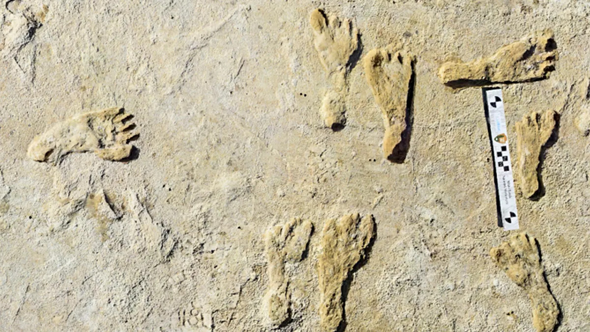 Footprints Found at Ancient Lake in New Mexico
