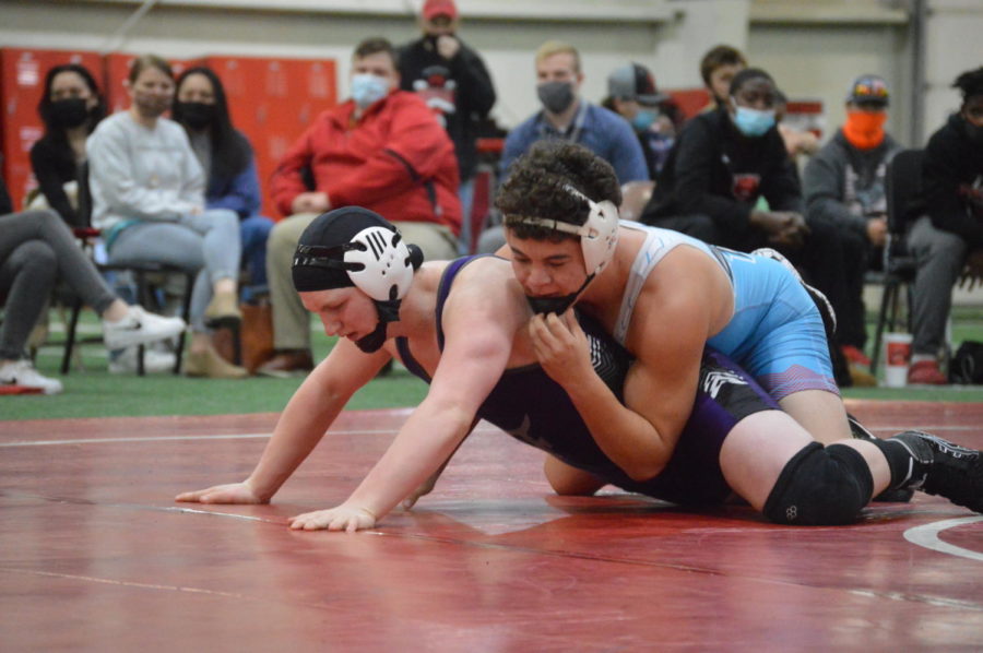 Wrestler takes state title